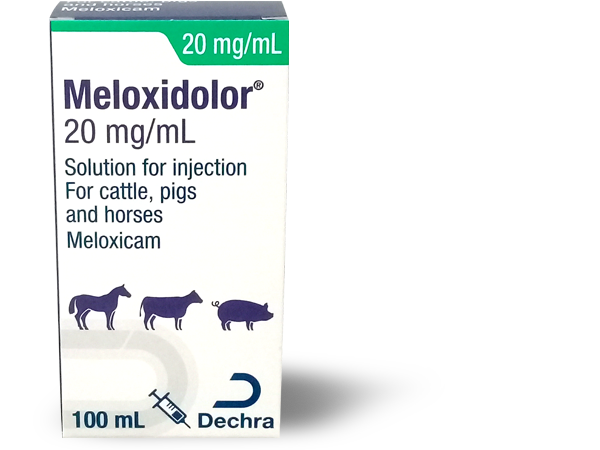 Meloxidolor Cattle