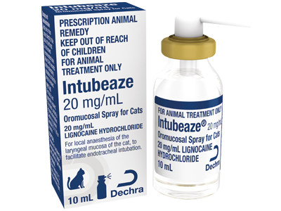 Intubeaze